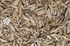 biomass boilers Mealsgate
